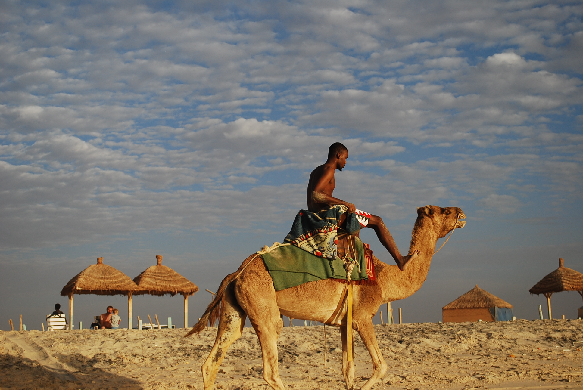 Balade à dos de dromadaire à Nouakchott